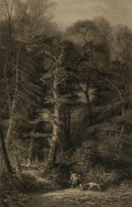  av Karl Bodmer