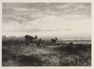 Landskap med hjort, ca. 1840. av Karl Bodmer