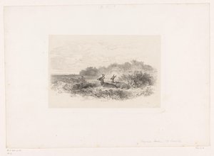 Landskap med to hvithalehjort Landskap med dyr (serietittel) av Karl Bodmer
