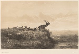 Morgenen. av Karl Bodmer