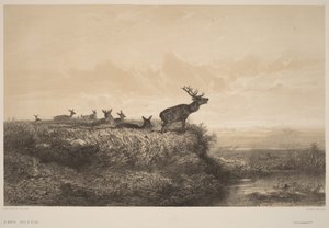  av Karl Bodmer