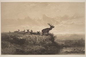  av Karl Bodmer