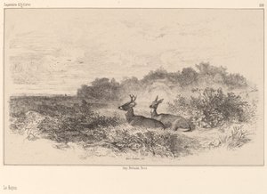 Hvile. av Karl Bodmer