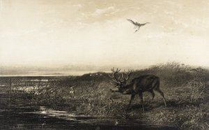  av Karl Bodmer
