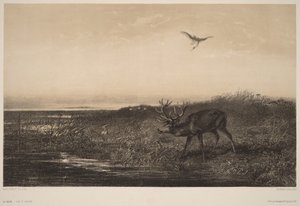  av Karl Bodmer