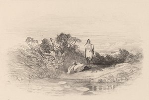 De to hegre. av Karl Bodmer