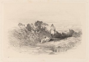 De to hegre av Karl Bodmer