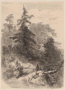 Fasanene. av Karl Bodmer