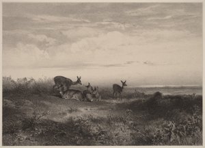  av Karl Bodmer