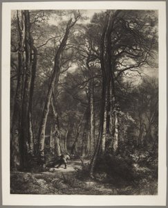 Mann i skogen