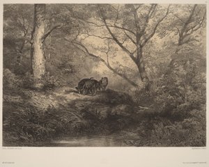  av Karl Bodmer