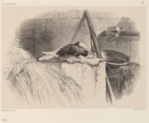 Due. av Karl Bodmer