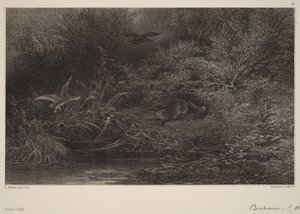  av Karl Bodmer