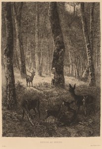 Hjemme igjen av Karl Bodmer