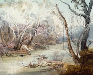 Fox River nær New Harmony, Indiana av Karl Bodmer
