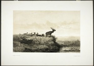  av Karl Bodmer