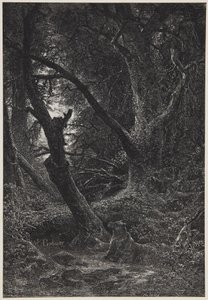  av Karl Bodmer