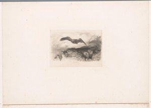 flygende ørn Landskap med dyr (serietittel) av Karl Bodmer
