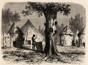Krigens tre, i en landsby Djour, Bahr-el-Gazal-regionen, Sudan, tegning av Karl Girardet (1813-1871) for å illustrere reisen til elven til gasellene i A. Bolognesi, i 1856-1857. Gravering i "" Le tour du monde"", redigert av Edouard Charton av Karl Girardet