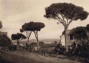 Libanon, landskap (s/hvitt bilde) av Karl Grober