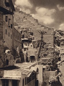 Mar Saba, Palm of St Sabas (s/hvitt bilde) av Karl Grober