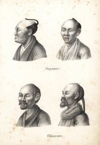 Byster av japanske menn med chonmage toppknutefrisyre, og kinesiske menn med skjegg, en med pigtail. Litografi av Karl Joseph Brodtmann fra Heinrich Rudolf Schinz