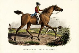 Engelsk racerhest, 1824 av Karl Joseph Brodtmann