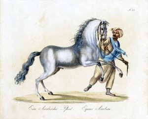  av Karl Joseph Brodtmann
