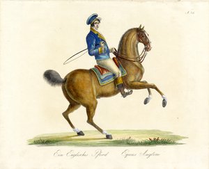  av Karl Joseph Brodtmann