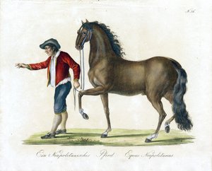  av Karl Joseph Brodtmann