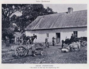 Irish Farmyard (s/hvitt bilde)