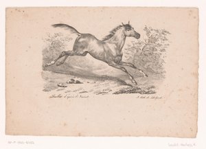Galopperende hest i landskap Hester og ryttere (serietittel)