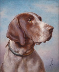 Hundeportrait av Karl Reichert