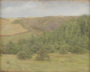 Svanninge Hills, Fyn