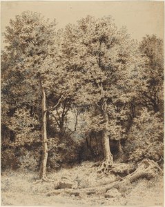 En skog av trær av Karl Theodor Reiffenstein