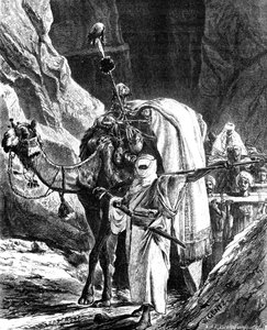 Opprørshoder, 1881