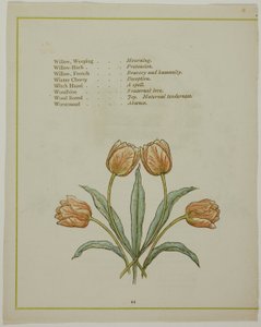 Dekorativ illustrasjon, fra The Illuminated Language of Flowers av Kate Greenaway