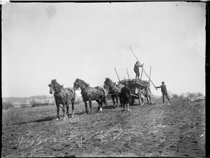 Broomfield, Broomfield And Kingswood, Maidstone, Kent, 06/04/1904 (s/hvitt-bilde)