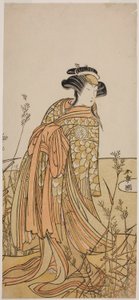 Skuespilleren Segawa Kikunojo III som Spirit of a Mandarin Duck (Oshidori) forkledd som Tagasode, i stykket Hana-zumo Genji Hiiki, fremført på Nakamura Theatre i den ellevte måneden, 1775 av Katsukawa Shunsho