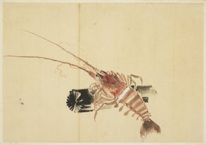 Ebi (gigantiske reker)