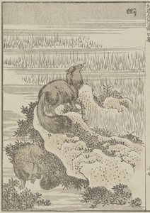 Grevling, c. 1840 (treblokktrykk) av Katsushika Hokusai