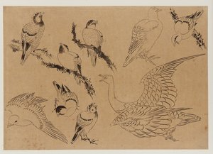Fugler, Edo-perioden, slutten av 1700-begynnelsen av 1800-tallet. av Katsushika Hokusai
