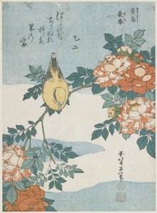 Black-Naped Oriole og China Rose, ca. 1833 av Katsushika Hokusai