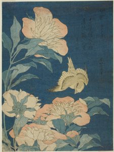 Canary and Peony (Canary, shakuyaku), fra en serie med blomster og fugler uten tittel av Katsushika Hokusai