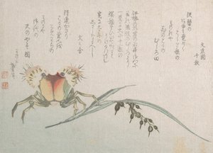 Krabbe- og risplante, 1800-tallet. av Katsushika Hokusai
