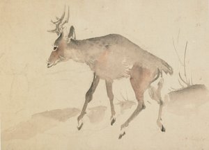 Hjort, slutten av 1700-begynnelsen av 1800-tallet. av Katsushika Hokusai
