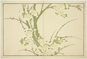 Blomster, fra The Picture Book of Realistic Paintings of Hokusai (Hokusai shashin gafu) av Katsushika Hokusai