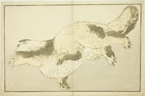 Fox, fra The Picture Book of Realistic Paintings of Hokusai (Hokusai shashin gafu) av Katsushika Hokusai
