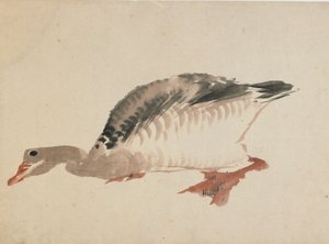 Gås, slutten av 1700-begynnelsen av 1800-tallet. av Katsushika Hokusai