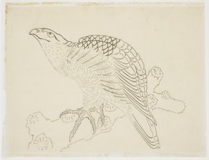 Hawk on a Branch (studie) av Katsushika Hokusai